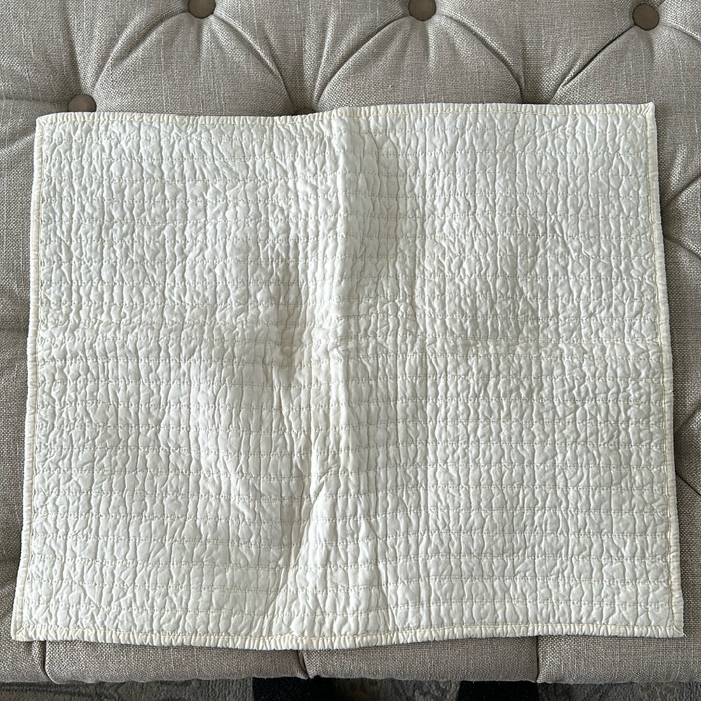 Set of 2 Magnolia Hearth and Hand Standard Shams